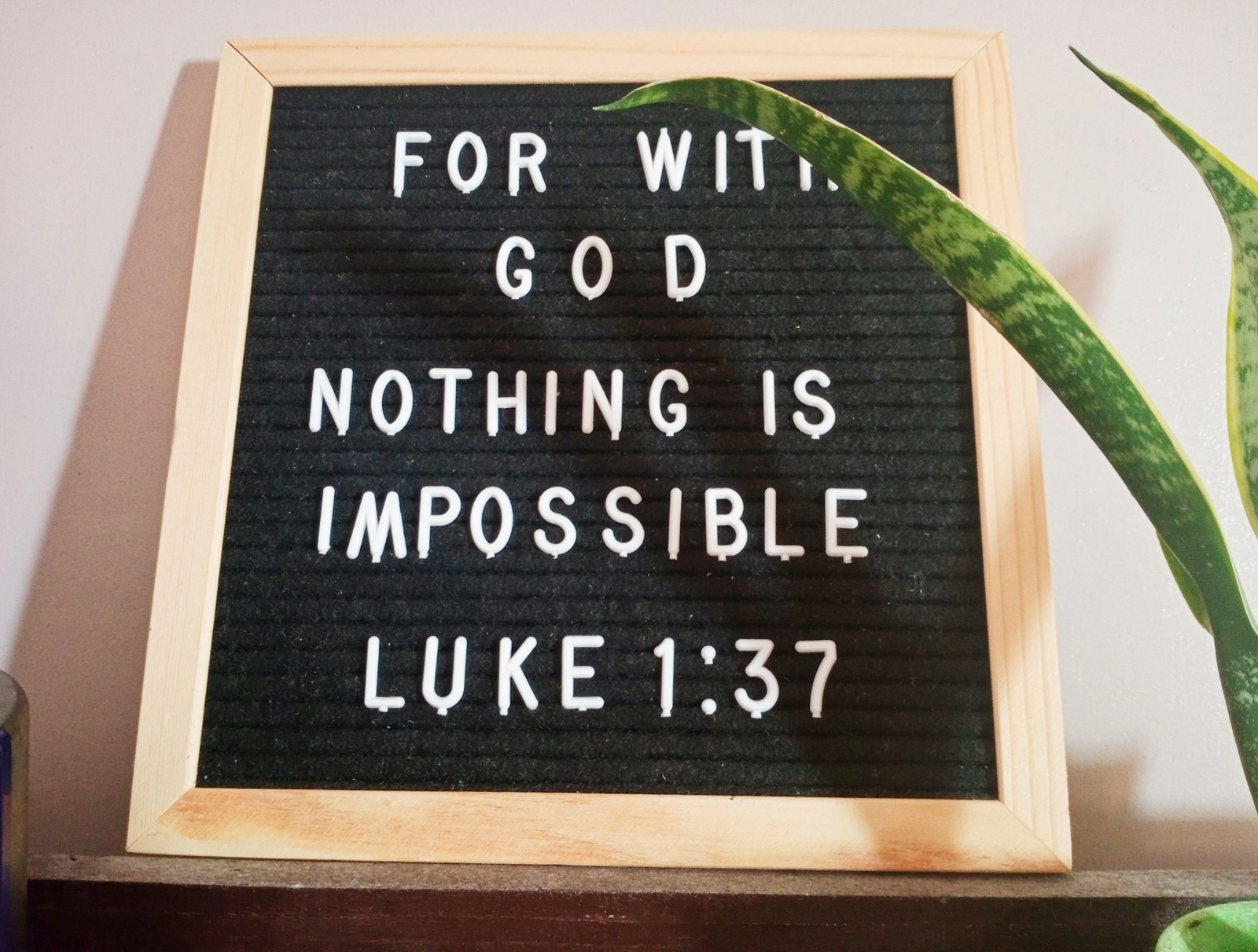 Walking in God’s Word